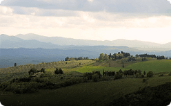 Volterra